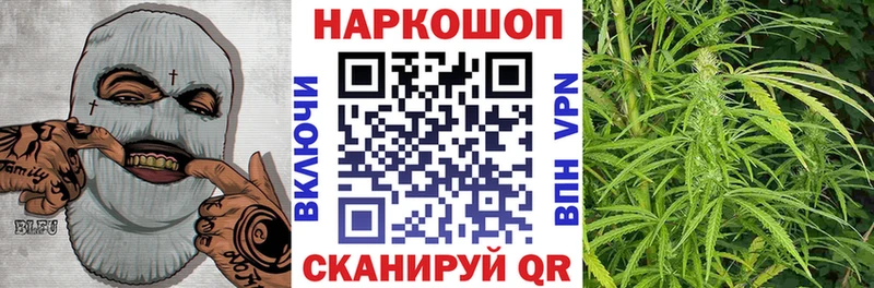 Сколько стоит Болохово Конопля  СОЛЬ  гидра ТОР  Гашиш  Меф  COCAIN 