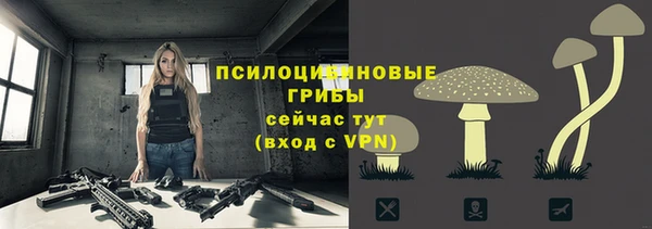 молекула духа Абинск