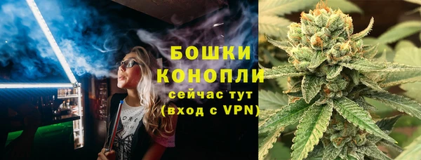 PSILOCYBIN Рославль